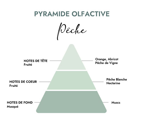 Pyramide olfactive parfum bougie pêche