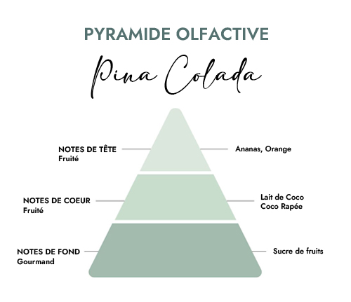 Pyramide olfactive parfum bougie pina colada