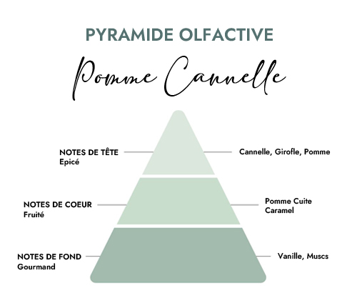 Pyramide olfactive parfum bougie pomme cannelle