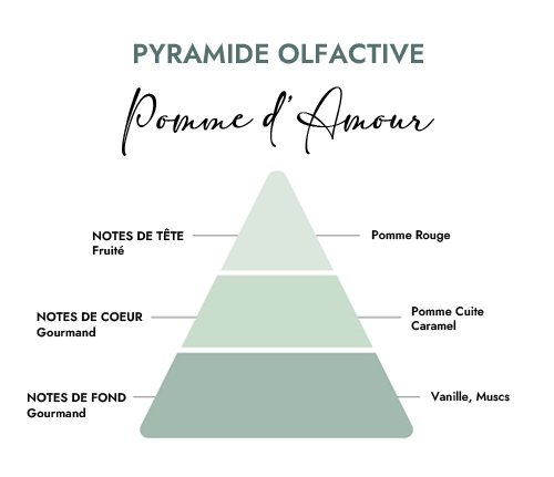 Pyramide olfactive parfum bougie pomme d'amour