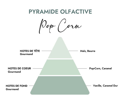 Pyramide olfactive parfum bougie pop corn
