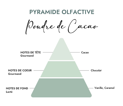 Pyramide olfactive parfum bougie poudre de cacao