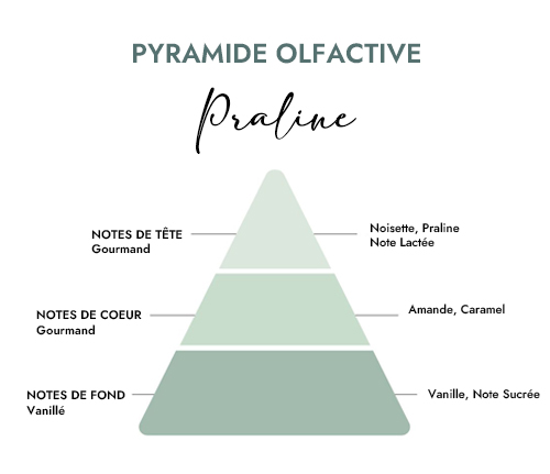 Pyramide olfactive parfum bougie praline