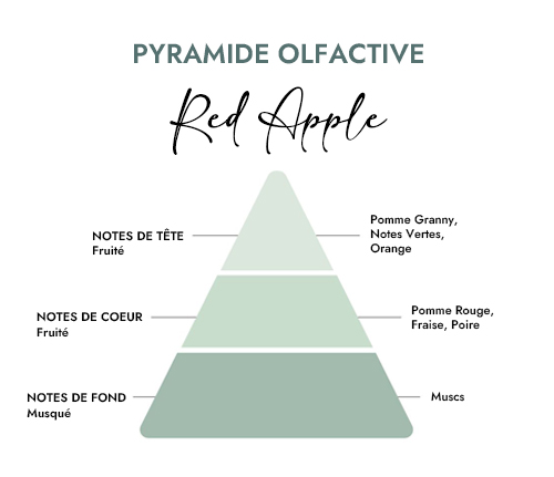 Pyramide olfactive parfum bougie red apple