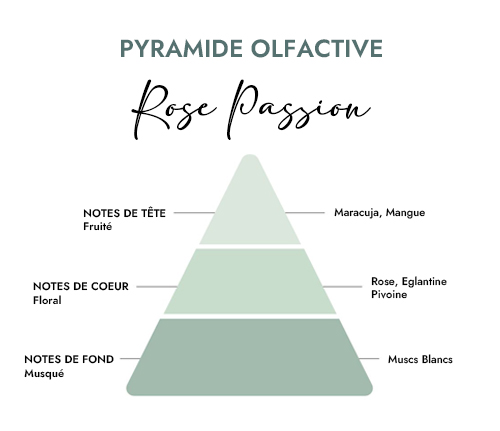 Pyramide olfactive parfum bougie rose passion