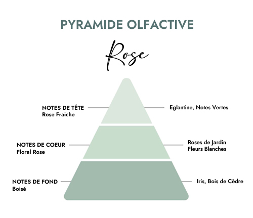 Pyramide olfactive parfum bougie rose