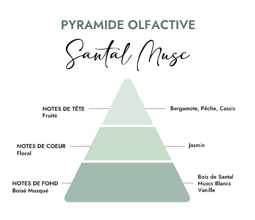 Pyramide olfactive parfum bougie santal musc