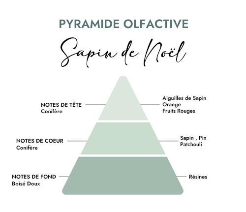 Pyramide olfactive parfum bougie sapin de noel