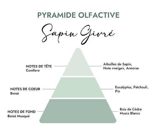 Pyramide olfactive parfum bougie sapin givre