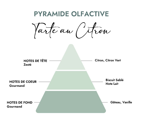 Pyramide olfactive parfum bougie tarte au citron