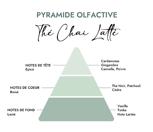 Pyramide olfactive parfum bougie the chai latte