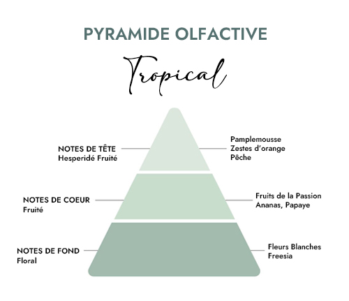 Pyramide olfactive parfum bougie tropical