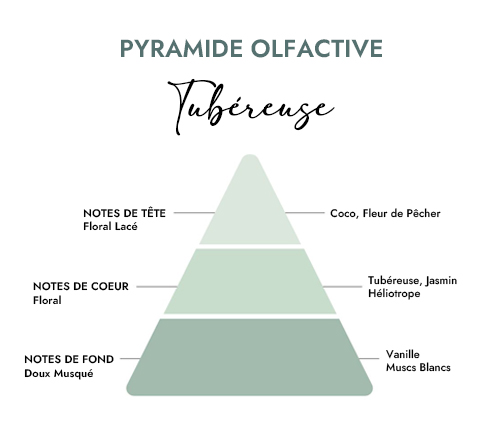 Pyramide olfactive parfum bougie tubéreuse
