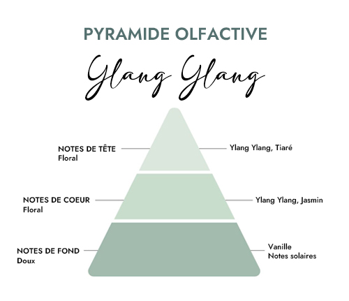 Pyramide olfactive parfum bougie ylang ylang