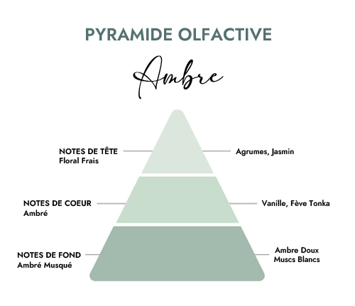 Pyramide olfactive parfum bougie ambre