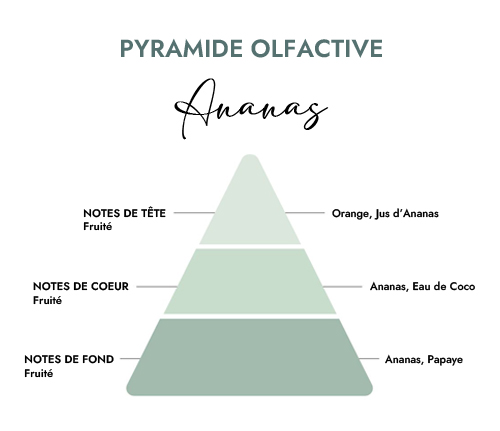 Pyramide olfactive parfum bougie ananas